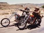 Easy Rider & Co.