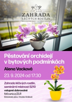 Pěstování orchidejí v bytových podmínkách