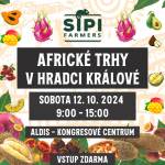 Africké trhy v Hradci Králové